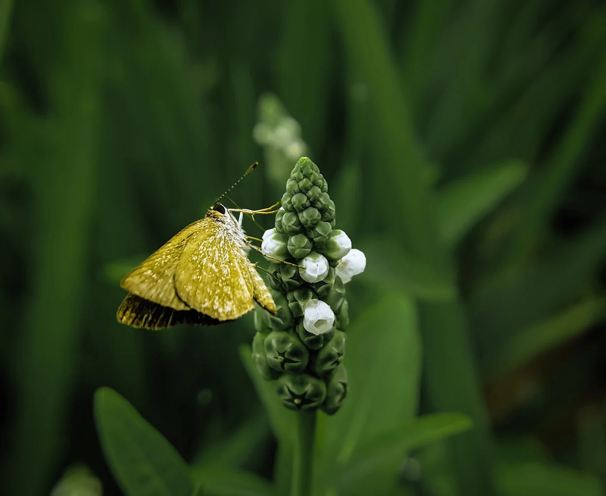 Photography Club of Assam portfolio 2