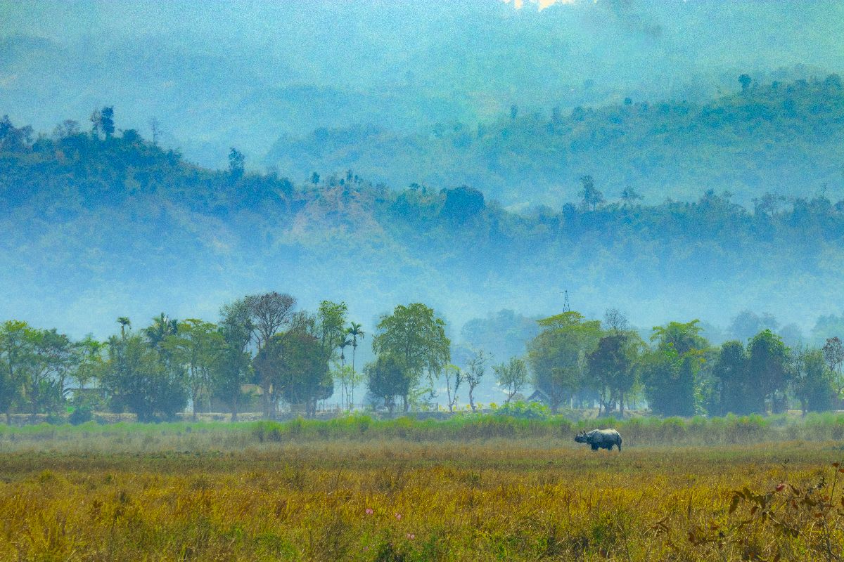 Devanga Nath Photography portfolio 2