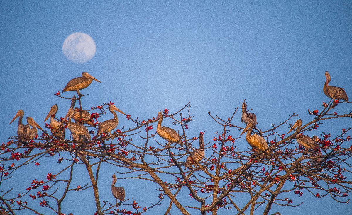Devanga Nath Photography portfolio 8